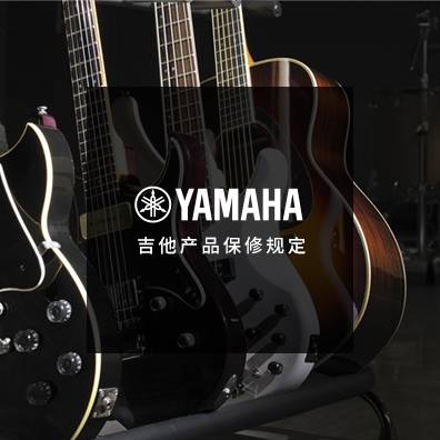 吉他、贝斯和音箱